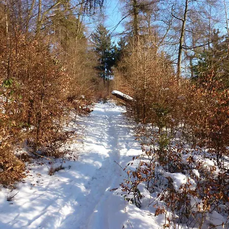 شقة Finke Frankenau