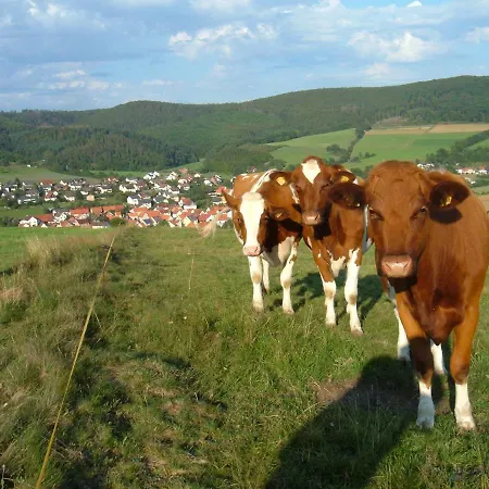 Appartamento Finke Frankenau