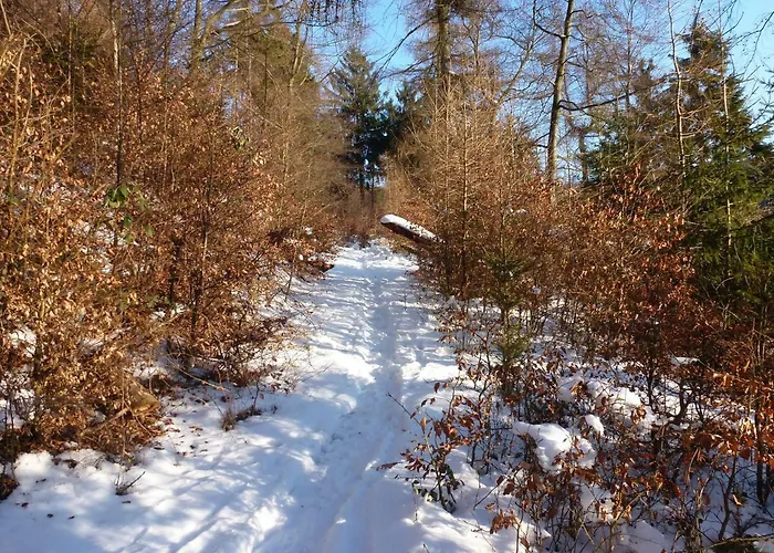 Apartmán Finke Frankenau