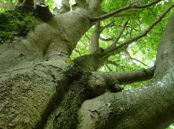 Apartmán Finke Frankenau