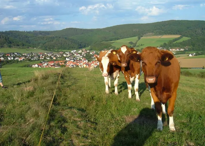 Apartmán Finke Frankenau