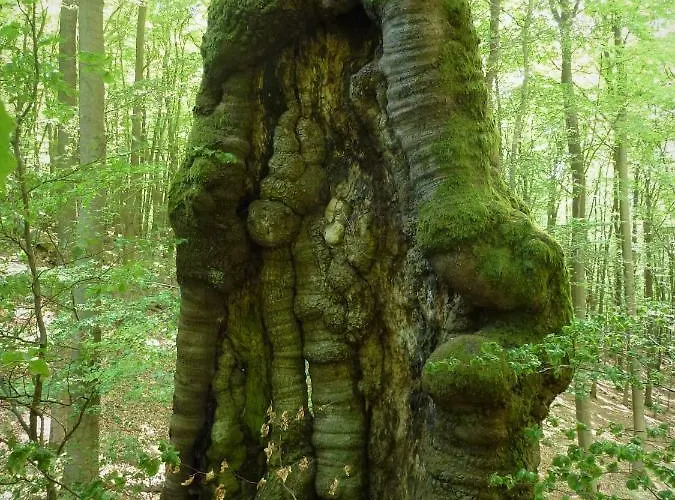 Apartmán Finke Frankenau